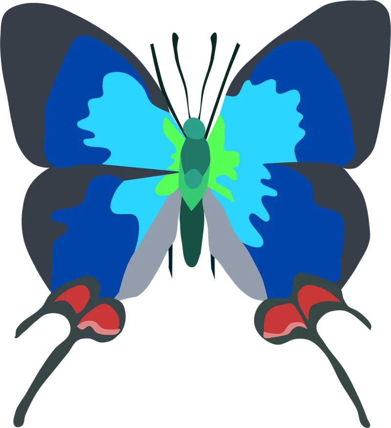 Animal Bug Butterfly Stickdatei – Tiere