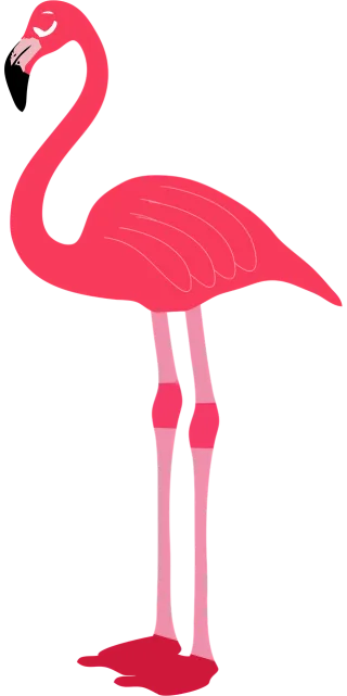 Animal Bird Nature Stickdatei