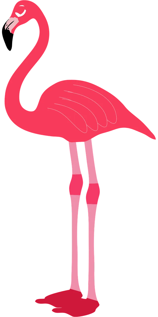 Animal Bird Nature Stickdatei – Tiere