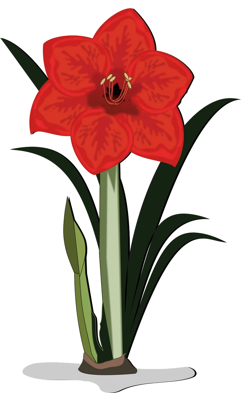 Amaryllis Beautiful flowers Flower wallpaper Stickdatei – Blumen