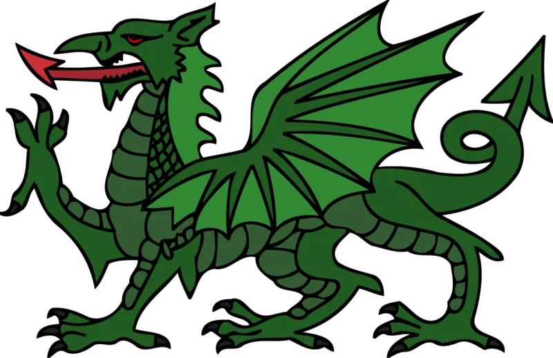 Animal Dragon Nature Stickdatei – Fahrzeuge