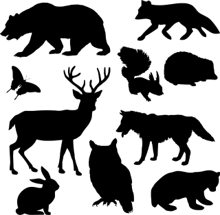 Animal Bear Nature Stickdatei