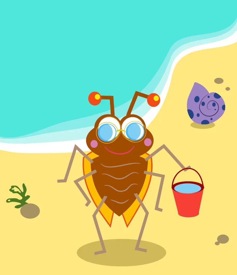 Anthropomorphic Beach Bug Stickdatei – Natur