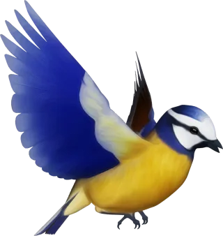 Animal Bird Colorful Stickdatei