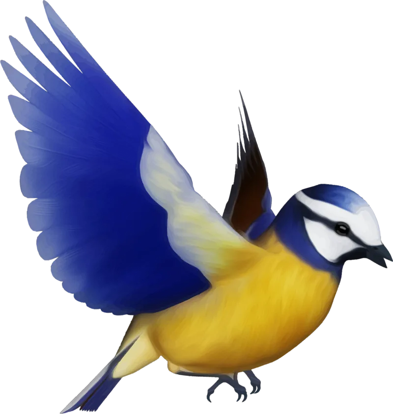 Animal Bird Colorful Stickdatei – Tiere
