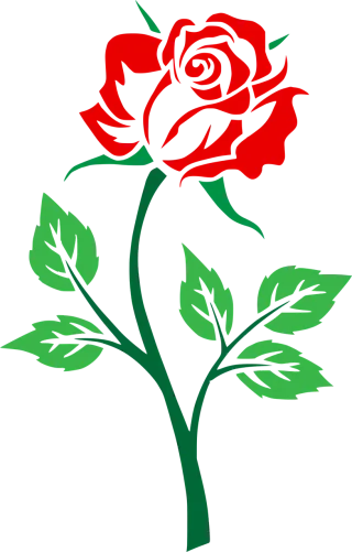 Colored Floral Flower background Stickdatei