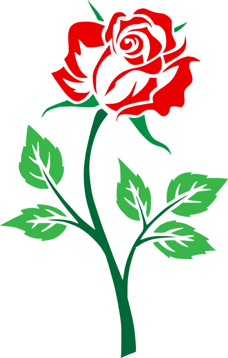 Colored Floral Flower background Stickdatei – Blumen