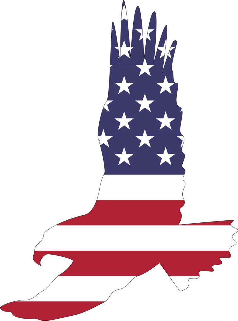 America Animal Bald eagle Stickdatei – Tiere