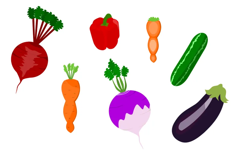 Vegetables Fruits Healthy Stickdatei – Weihnachten
