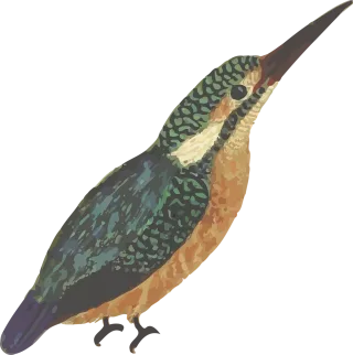 Animal Nature Bird Stickdatei