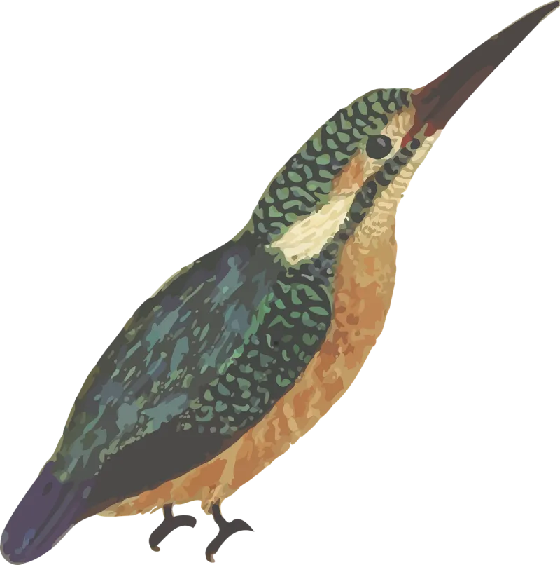 Animal Nature Bird Stickdatei – Tiere