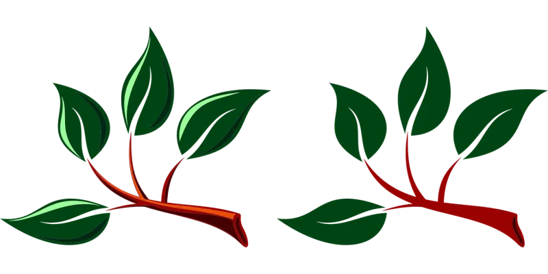 Branches Nature Leaf Stickdatei – Natur