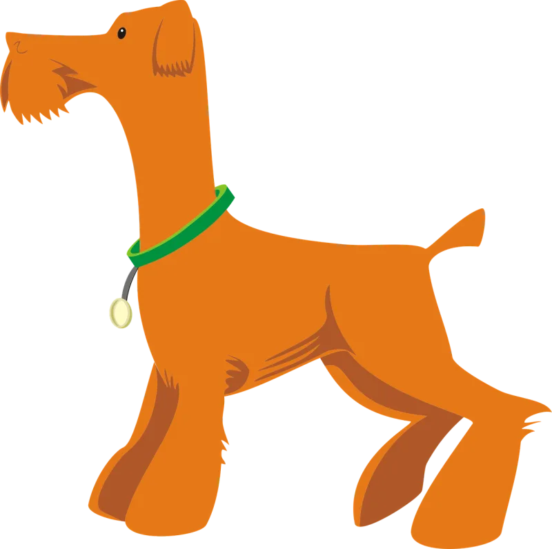 Animal Canine Nature Stickdatei – Tiere