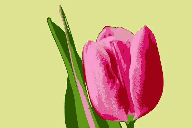 Tulip Flower background Nature Stickdatei – Blumen
