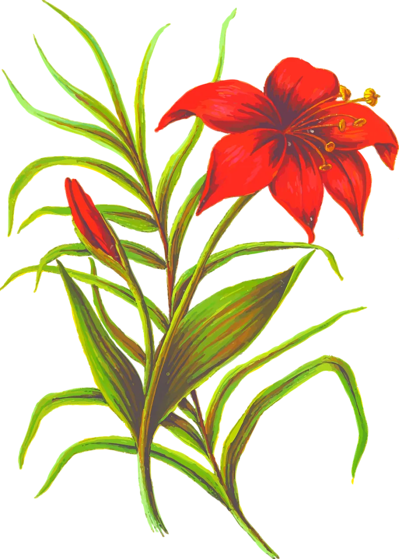 Flower Leaf Leaves Stickdatei – Natur