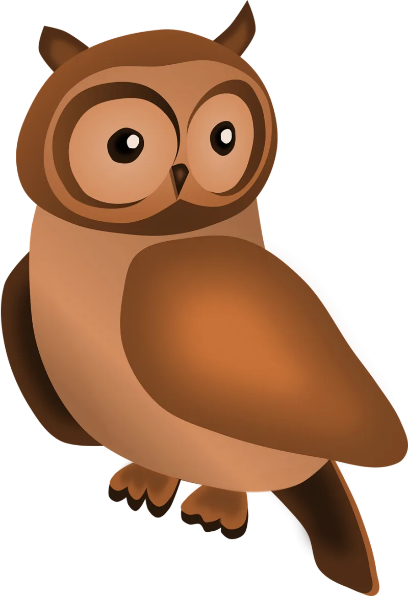 Bird Owl Nature Stickdatei – Tiere