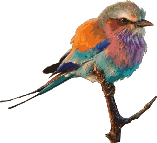 Bird Nature Bright Stickdatei