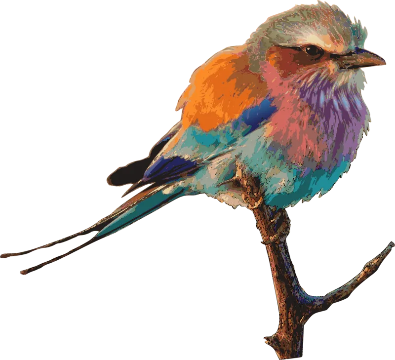 Bird Nature Bright Stickdatei – Tiere