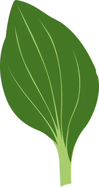Green Nature Herb Stickdatei