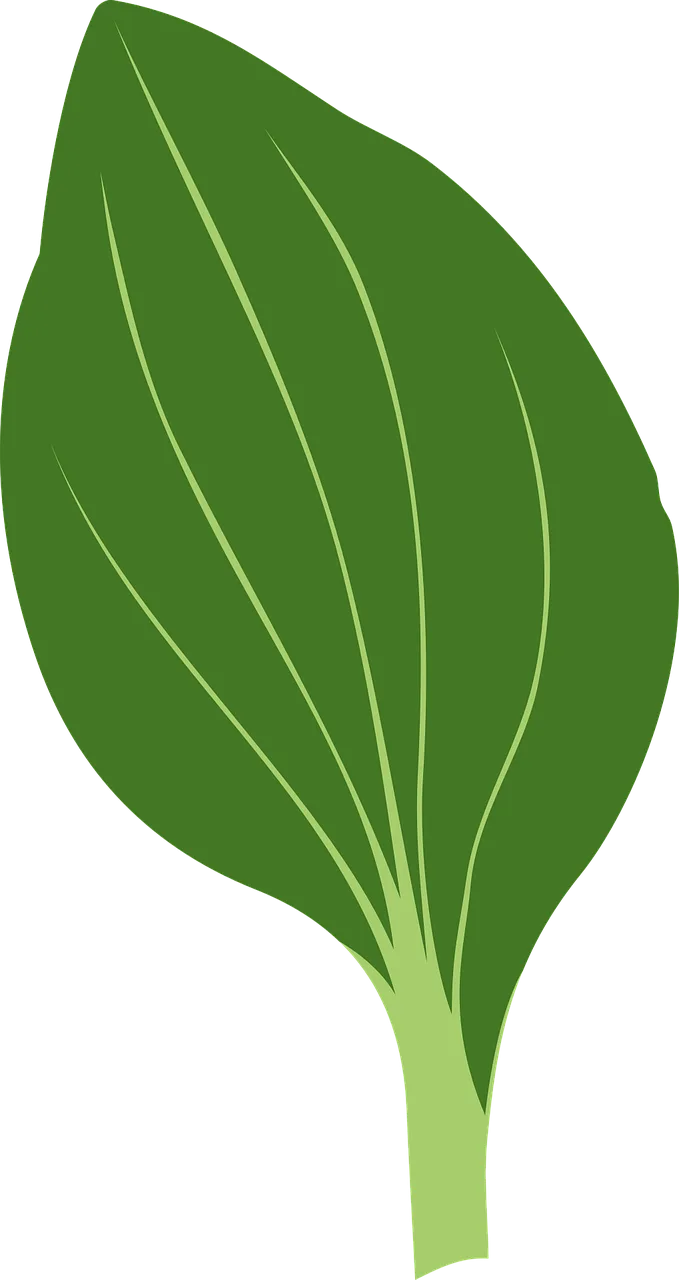 Green Nature Herb Stickdatei – Natur