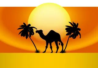Animal Camel Nature Stickdatei