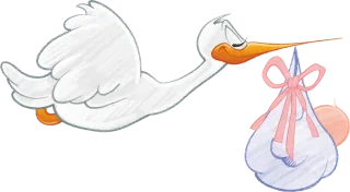 Baby Bird Nature Stickdatei
