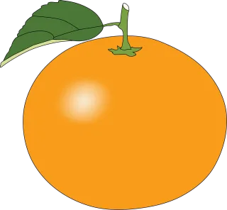 Fruit Issue fixed Issue resolved Stickdatei