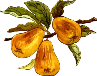 Branch Fruit Orchard Stickdatei