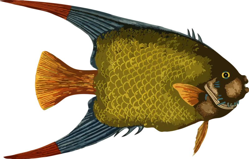Animal Nature Fish Stickdatei – Tiere