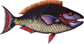Animal Fish Ocean Stickdatei