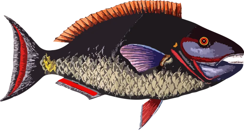 Animal Fish Ocean Stickdatei – Tiere