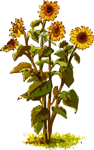 Flora Flower wallpaper Nature Stickdatei