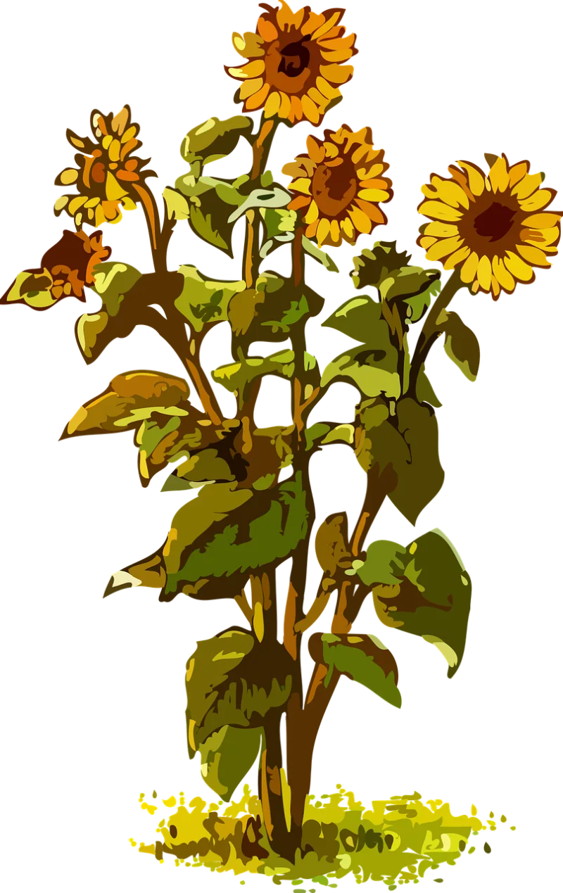 Flora Flower wallpaper Nature Stickdatei – Blumen