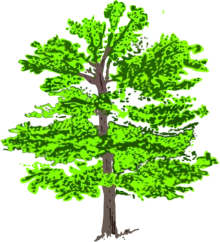 Tree Green Plant Stickdatei