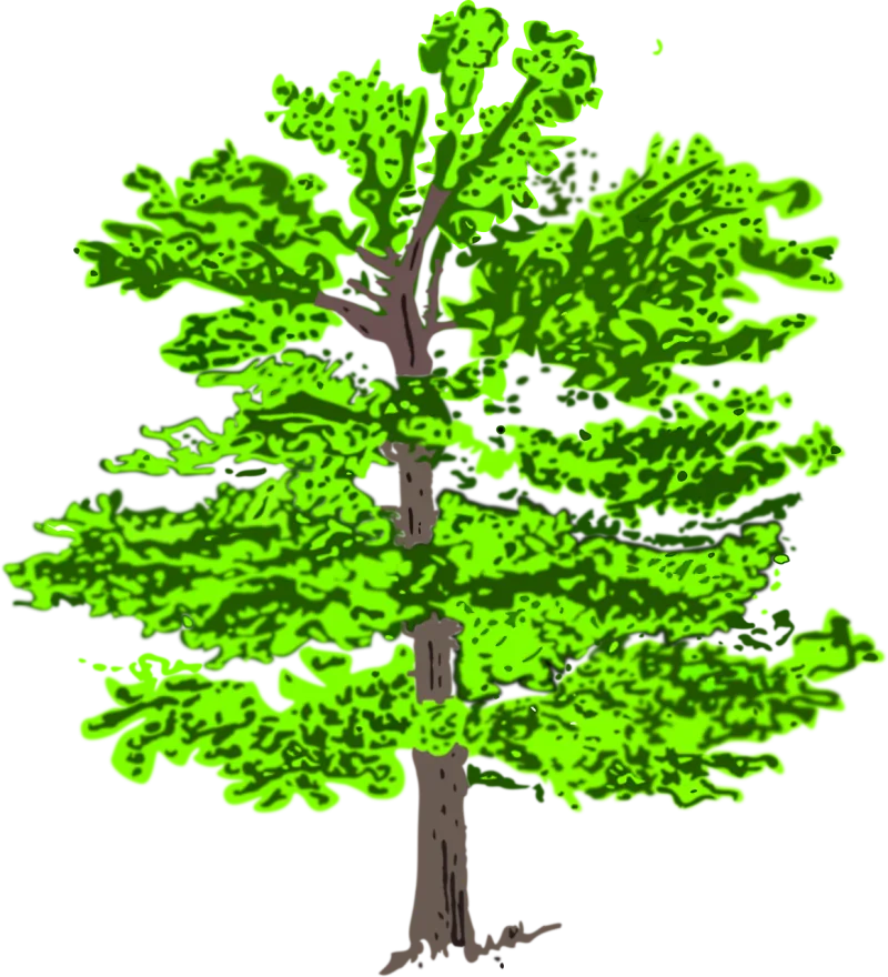 Tree Green Plant Stickdatei – Natur