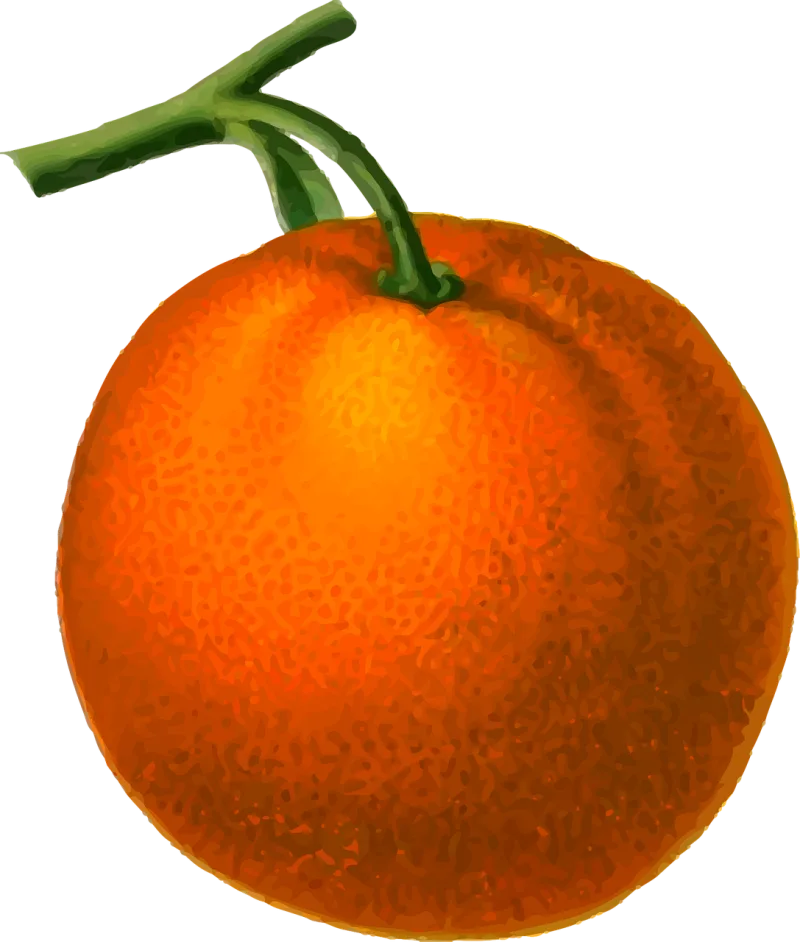 Citrus Edible Food Stickdatei – Essen & Trinken