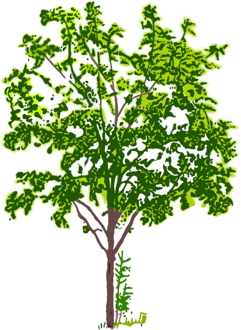 Forest Landscape Nature Stickdatei – Natur