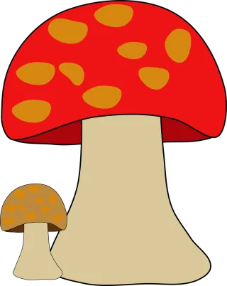 Fungi Fungus Mushroom Stickdatei