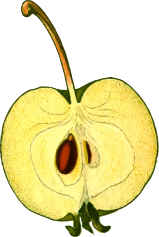 Apple Edible Food Stickdatei