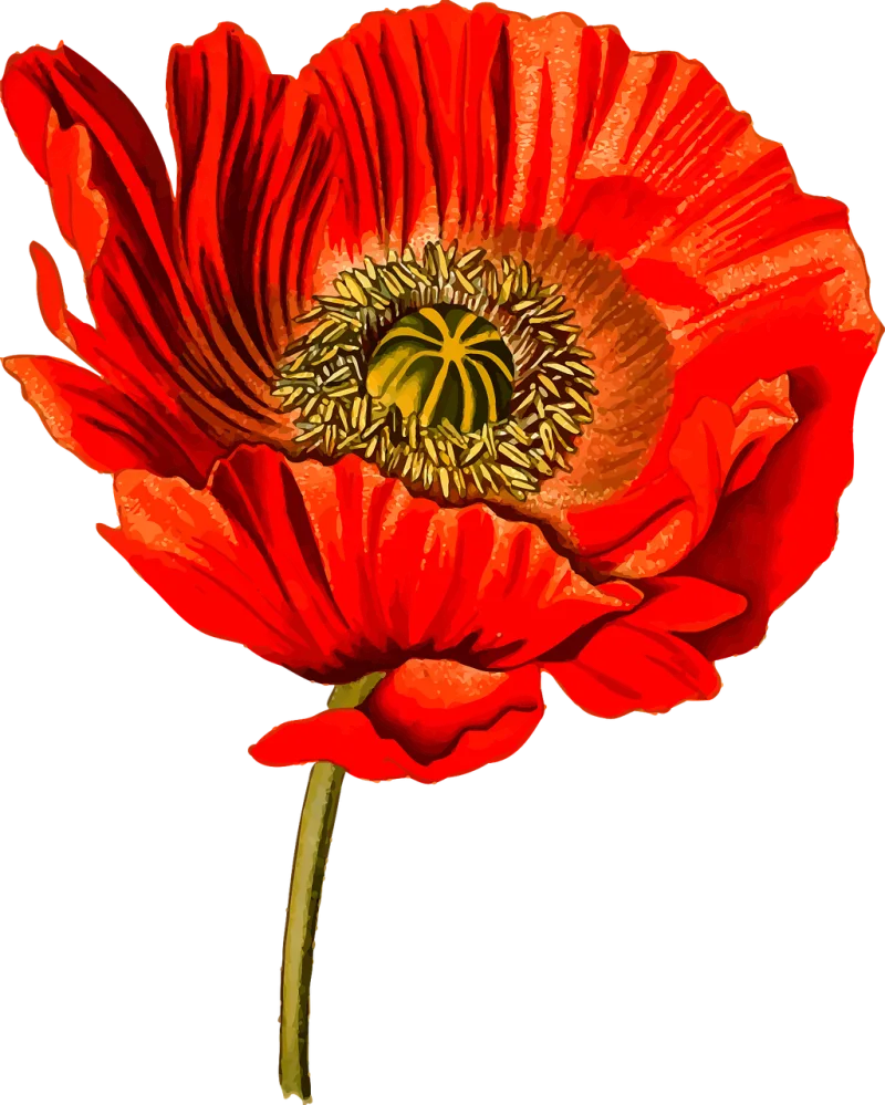 Floral Flower Herbal Stickdatei – Blumen