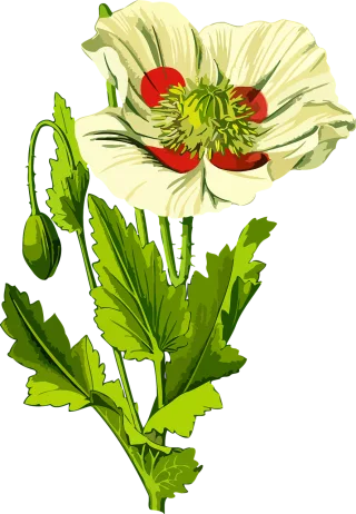 Floral Nature Flower background Stickdatei
