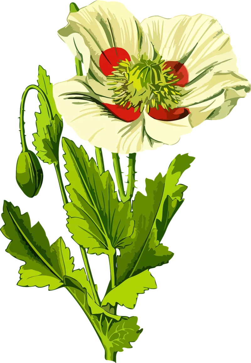 Floral Nature Flower background Stickdatei – Blumen