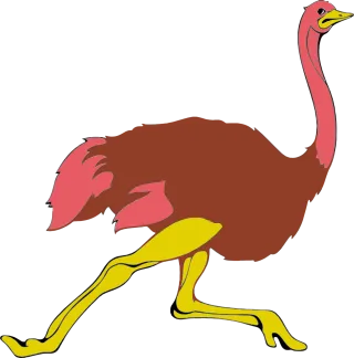 Animal Bird Flightless Stickdatei
