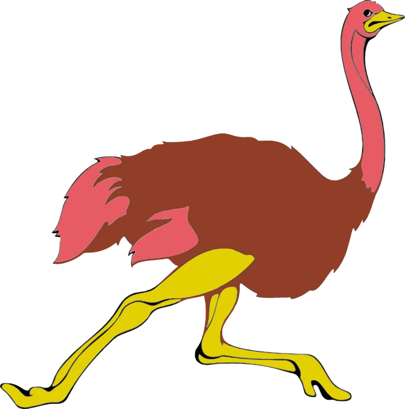 Animal Bird Flightless Stickdatei – Sport