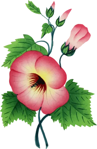 Colorful Floral Nature Stickdatei