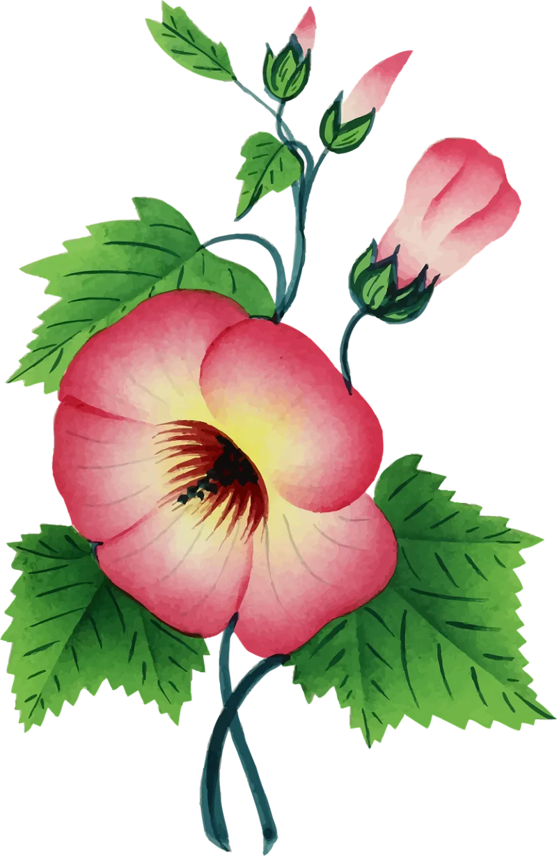 Colorful Floral Nature Stickdatei – Blumen