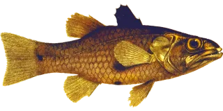 Animal Fish Ocean Stickdatei