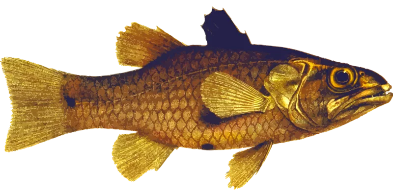 Animal Fish Ocean Stickdatei – Sport
