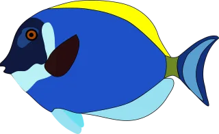 Fish Animal Tropical Stickdatei – Tiere