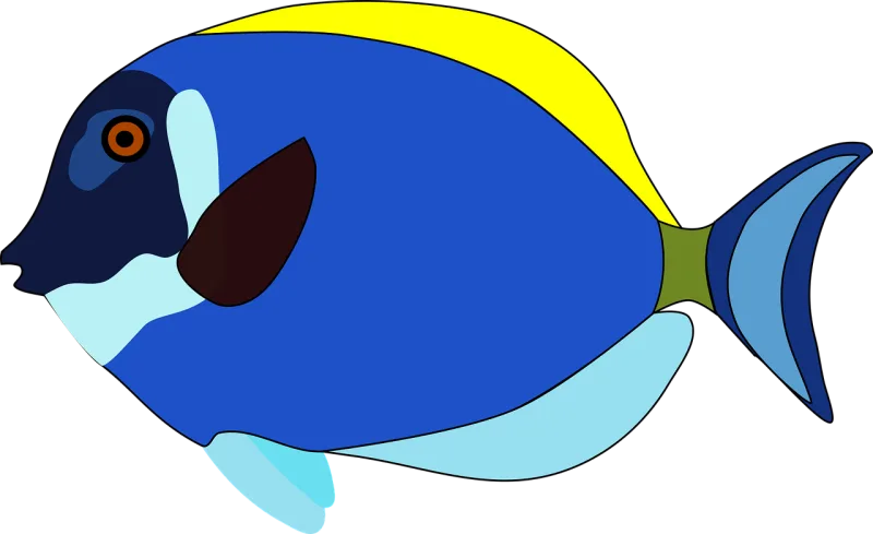Fish Animal Tropical Stickdatei – Tiere